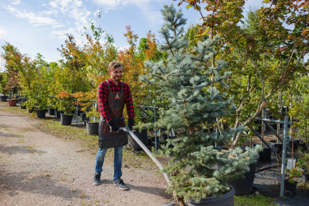 Best Seasonal Cleanup  in Gardnerville Ranchos, NV